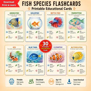 Puede incluir: Un conjunto de 30 tarjetas educativas imprimibles tituladas Fish Species Flashcards, con ilustraciones de peces ángel, dorados, betta, loro, koi, cirujano azul, payaso y mariposa, incluyendo información sobre hábitat, dieta y tamaño.