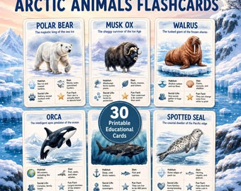 May include: A set of printable educational flashcards featuring Arctic animals including a polar bear, musk ox, walrus, orca, shark, and spotted seal. Each card displays an illustration, habitat, diet, social life, and fun facts about the animal.