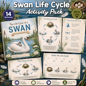 Puede incluir: Un paquete de actividades sobre el ciclo de vida del cisne con 14 hojas de trabajo. El conjunto incluye una portada con un cisne y su cría, diagramas del ciclo de vida, hojas de datos y una actividad de ordenamiento con casillas numeradas.
