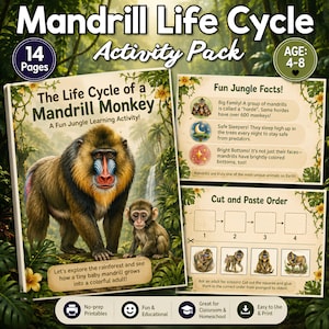 Op de afbeelding: Een 14-pagina tellend Mandril Levenscyclus Activiteitenpakket voor kinderen van 4-8 jaar. De omslag toont een volwassen mandril en een jong in een jungleomgeving. Bevat pagina's met junglefeiten en een knip- en plakopdracht met vier vakjes.