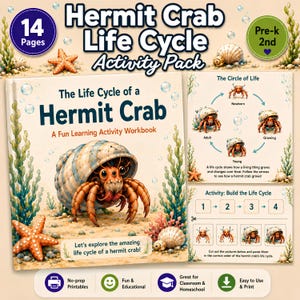 Hermit Crab Life Cycle Activity Pack | 14 No-Prep Worksheets | Beach & Ocean Unit Study