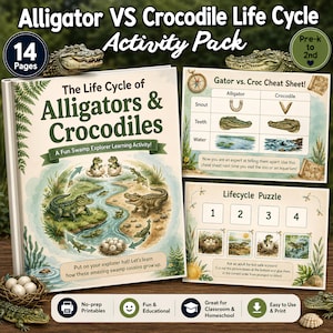Puede incluir: Un paquete de actividades educativas titulado The Life Cycle of Alligators & Crocodiles, que incluye un folleto de 14 páginas con ilustraciones de las etapas de vida de los reptiles, una hoja de trucos Gator vs. Croc y un rompecabezas numerado.