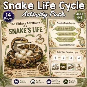 Può includere: Un pacchetto di attività di 14 pagine sul ciclo di vita del serpente con illustrazioni educative di serpenti, uova e fasi vitali. Le pagine includono testi come The Slithery Adventure of a SNAKE'S LIFE e Amazing Snake Secrets.