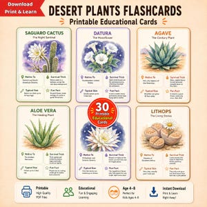 May include: A set of 30 printable educational flashcards titled Desert Plants Flashcards. Each card features a watercolour illustration of a desert plant, including Saguaro Cactus, Datura, Agave, Aloe Vera, and Lithops, with text detailing facts.