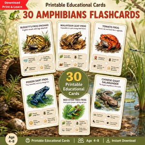 Puede incluir: Un juego de 30 tarjetas educativas imprimibles con ilustraciones y datos sobre anfibios, incluyendo la rana de Budgett, la rana hoja de Malasia, la rana tomate, la rana dardo venenoso, la rana de ojos rojos y la salamandra gigante china.