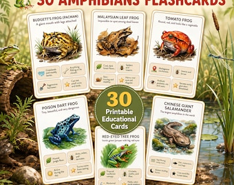 May include: A set of 30 printable educational flashcards featuring illustrations and facts about amphibians including the Budgett's frog, Malaysian leaf frog, tomato frog, poison dart frog, red-eyed tree frog, and Chinese giant salamander for ages 4-8.