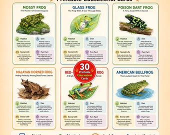 May include: A set of six educational flashcards titled FROGS FLASHCARDS, featuring illustrations of a Mossy Frog, Glass Frog, Poison Dart Frog, Malayan Horned Frog, Red-Eyed Tree Frog, and American Bullfrog with habitat, diet, and fun facts.