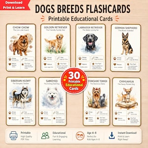 May include: A set of 30 printable educational flashcards featuring various dog breeds including Chow Chow, Golden Retriever, Labrador, German Shepherd, Husky, Samoyed, Yorkshire Terrier, and Chihuahua, with breed details and fun facts.