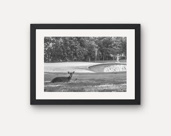 Svartvit hjort på golfbana fotografitryck, golfväggkonst (digital nedladdning)