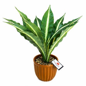 Peut inclure: Une plante artificielle en pot avec de longues feuilles vertes pointues présentant des rayures centrales blanches marquées. La plante est placée dans un pot en céramique ambrée, brillant et cannelé, rempli de petits cailloux avec une étiquette ARKFIC.