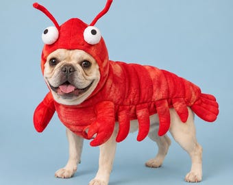 Lobster Dog Costume, Funny Halloween Pet Outfit for Small and Large Dogs