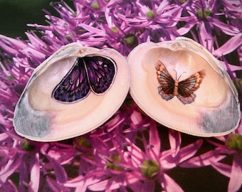 Butterfly mixed media sea shells nautical home garden decoration