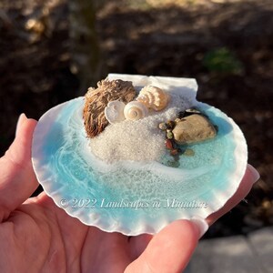 Beach Scene in Real Seashell 3-D Sand Beach Therapy, Shells 1-3 by Landscapes In Miniature image 2