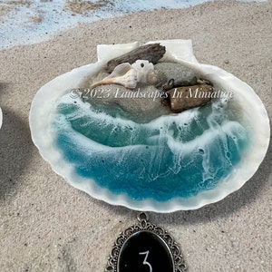 Beach Scene in Real Seashell 3-D Sand Beach Therapy, Shells 1-3 by Landscapes In Miniature image 6