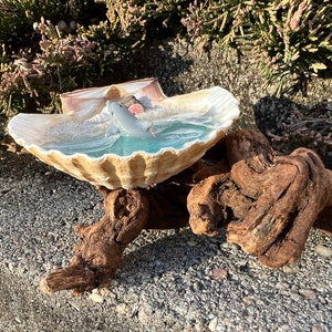 Resin Beach Art in Real Mexican Deep Scallop Seashell with Dolphin On Driftwood 3-D Sand by Landscapes In Miniature image 6