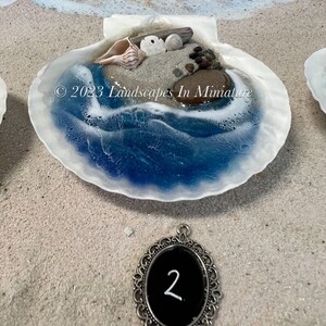 Beach Scene in Real Seashell 3-D Sand Beach Therapy, Shells 1-3 by Landscapes In Miniature image 5