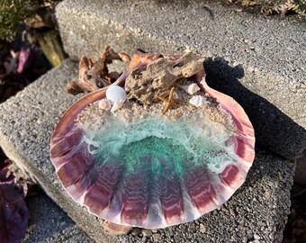 Resin Beach Art in Real Lion's Paw Scallop Seashell On Driftwood - 3-D Sand - by Landscapes In Miniature