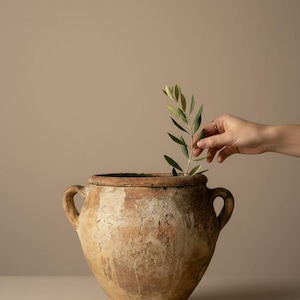 May include: A weathered, rustic terracotta vessel with a wide mouth, two side handles, and a textured, mottled brown and beige finish. The pot features a tapered base and a wide body, showcasing a vintage appearance with visible surface wear.