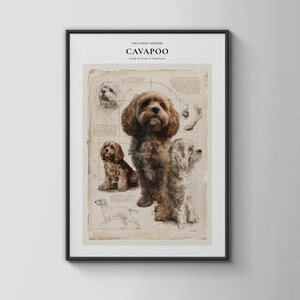 Puede incluir: Una lámina enmarcada titulada THE CANINE MASTERS CAVAPOO Study in Form & Proportion. La impresión muestra un perro Cavapoo marrón en el centro, rodeado de bocetos, diagramas anatómicos y notas técnicas sobre un fondo de pergamino de estilo vintage.