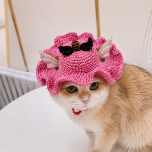 Peut inclure: Un chapeau crocheté rose vif avec un bord large et ondulé, orné d'un petit détail décoratif marron et noir sur le dessus. Le chapeau présente deux ouvertures pour les oreilles et est porté par un chat brun clair aux yeux verts avec un collier rouge.