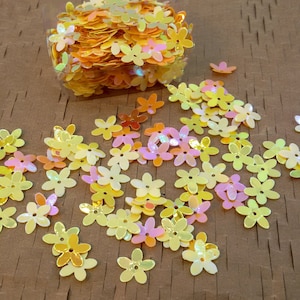 oranje glitter pailletten paillette mix, hars kunst oranje kleur losse glitter bloemen, paillette bloemen, iriserende paillette oranje kleur