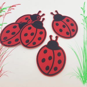 May include: Several red ladybug patches with black spots and black outlines are scattered on a white surface. The ladybugs have black heads and antennae. Green and red grass-like elements are in the background.