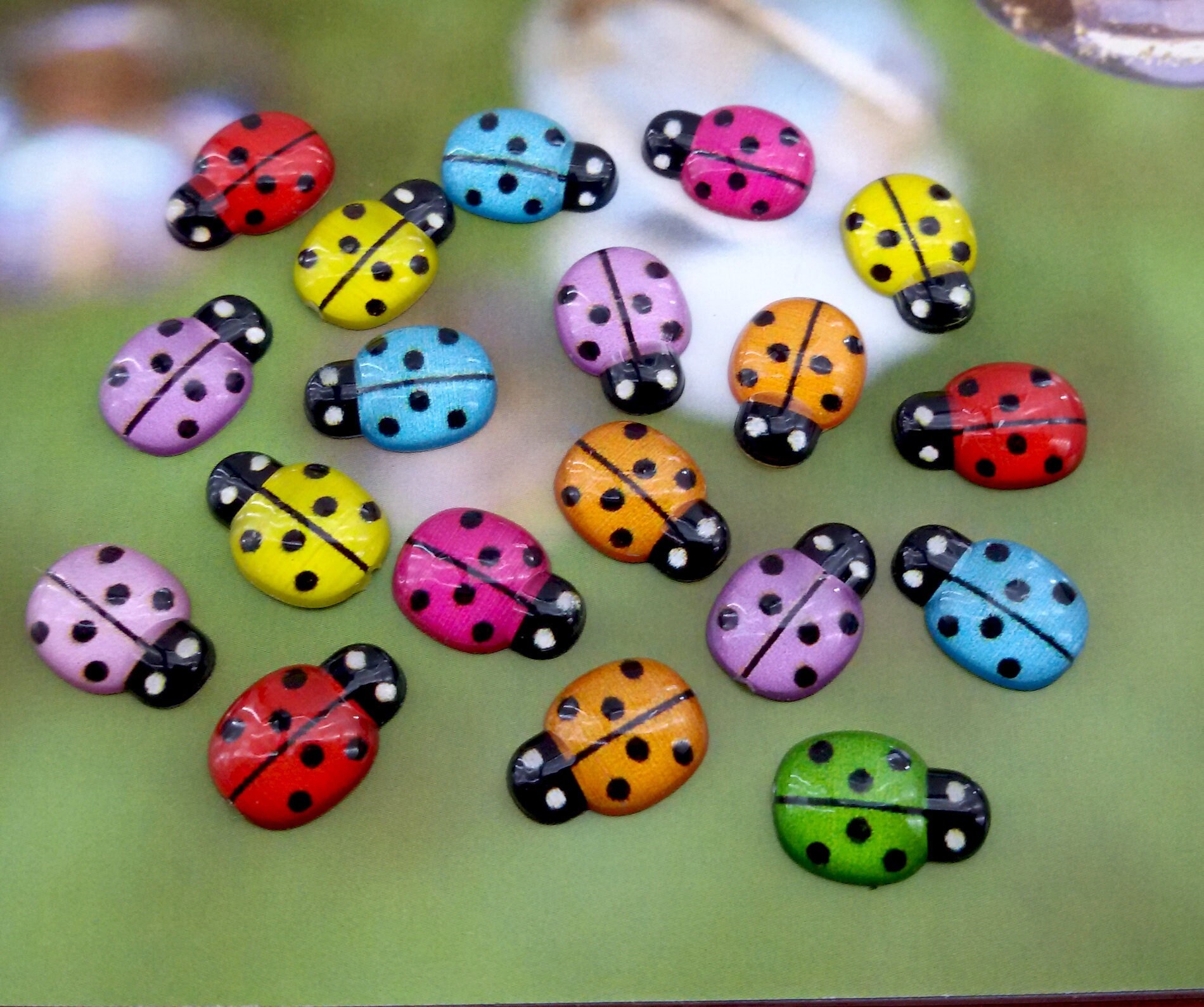 Ladybug Cabochon,color Mix Flat Back Ladybug,resin Ladybug