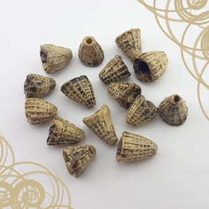 May include: A collection of cone-shaped beads in various sizes. The beads are primarily tan with darker brown accents, and feature a textured, basket-weave pattern. The beads are scattered on a white surface.