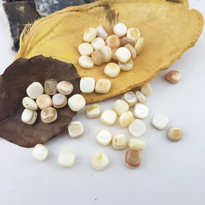 Puede incluir: Una colección de cuentas cuadradas de concha de color blanco y beige. Las cuentas están dispuestas en una pila sobre una superficie marrón.