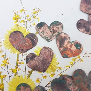 May include: A collection of eight heart-shaped copper charms with a rustic, aged patina. The charms have a distressed, oxidised finish and are perfect for jewellery making or crafting.