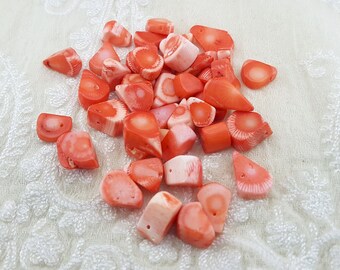 Vintage Red-orange Coral Branch: Natural Italian Gemstone (42 Carat