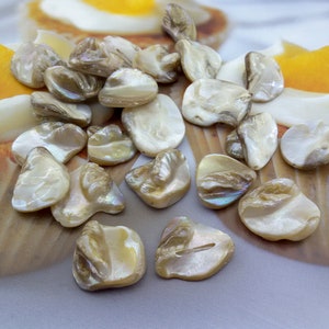 Puede incluir: Una colección de botones de nácar blanco y beige iridiscente. Los botones tienen forma de óvalos irregulares y una superficie lisa y pulida.