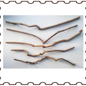 Peut inclure: Six bâtonnets en bois naturel de différentes longueurs et épaisseurs, disposés en quinconce sur un fond blanc.