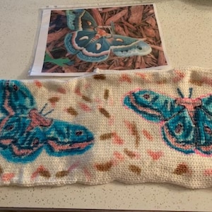 Hand Painted Sock Blank