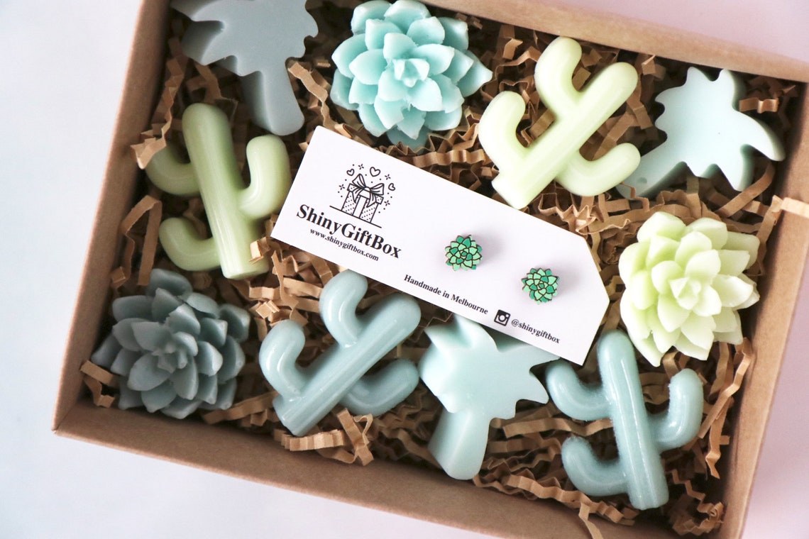 Succulents & Earrings Lovers Gift Set Green Birthday