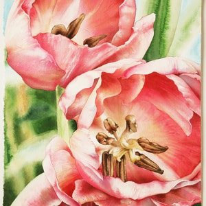 Spring Has Sprung, Tulips. Original Watercolor on Paper, 16 x 22 1/2 - FREE SHIPPING