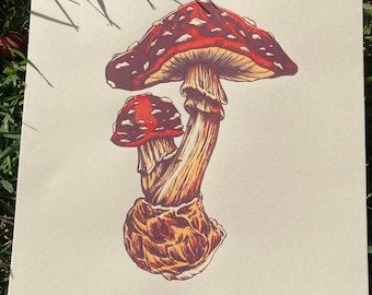 Fungi Friends 16x16 art print