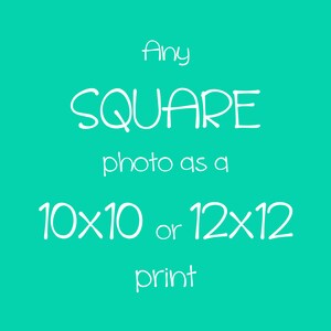 Any Square Photo as a 10x10 or 12x12 inch Print