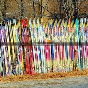 Winter Sport &quot;Ski Fence&quot; Fine Art Photograph