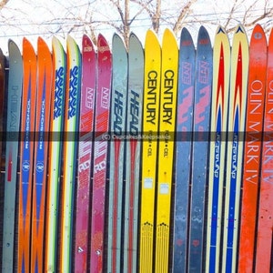 Winter Sport &quot;Ski Fence 2&quot; Fine Art Photograph