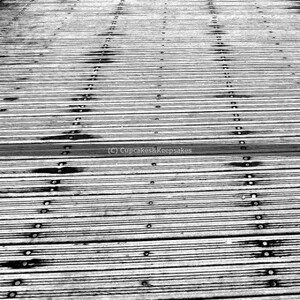 Dublin &quot;Boardwalk&quot; Fine Art Photograph Black and White