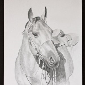 Custom Pet portrait, Personalised drawing, Graphite Hand Draw portraits, Dog picture, Cat ,Horse, A4 size image 3