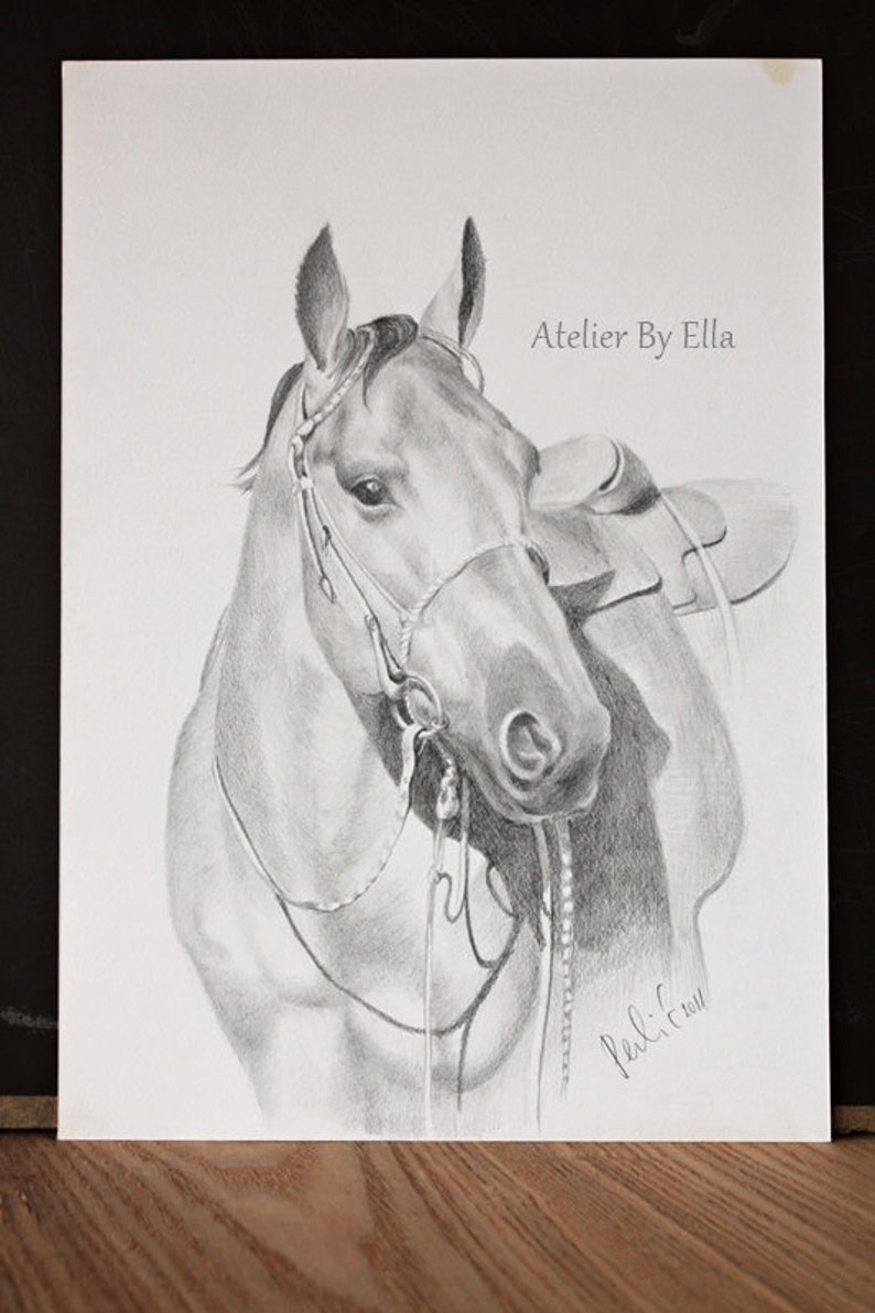 Custom Pet portrait, Personalised drawing, Graphite Hand Draw portraits, Dog picture, Cat ,Horse, A4 size image 1