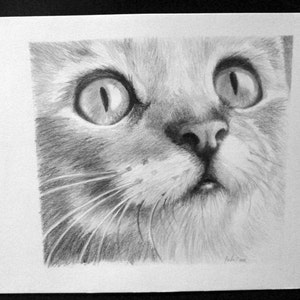 Custom Pet portrait, Personalised drawing, Graphite Hand Draw portraits, Dog picture, Cat ,Horse, A4 size image 4