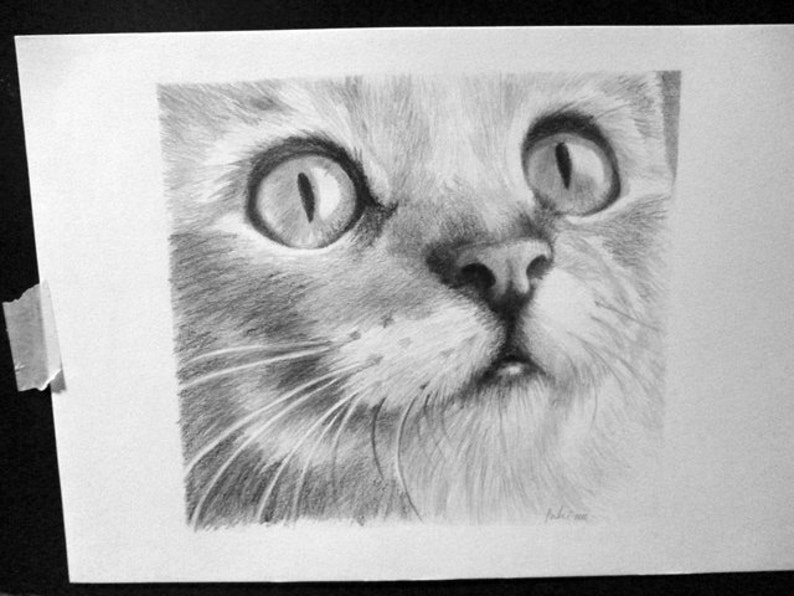 Custom Pet portrait, Personalised drawing, Graphite Hand Draw portraits, Dog picture, Cat ,Horse, A4 size image 4