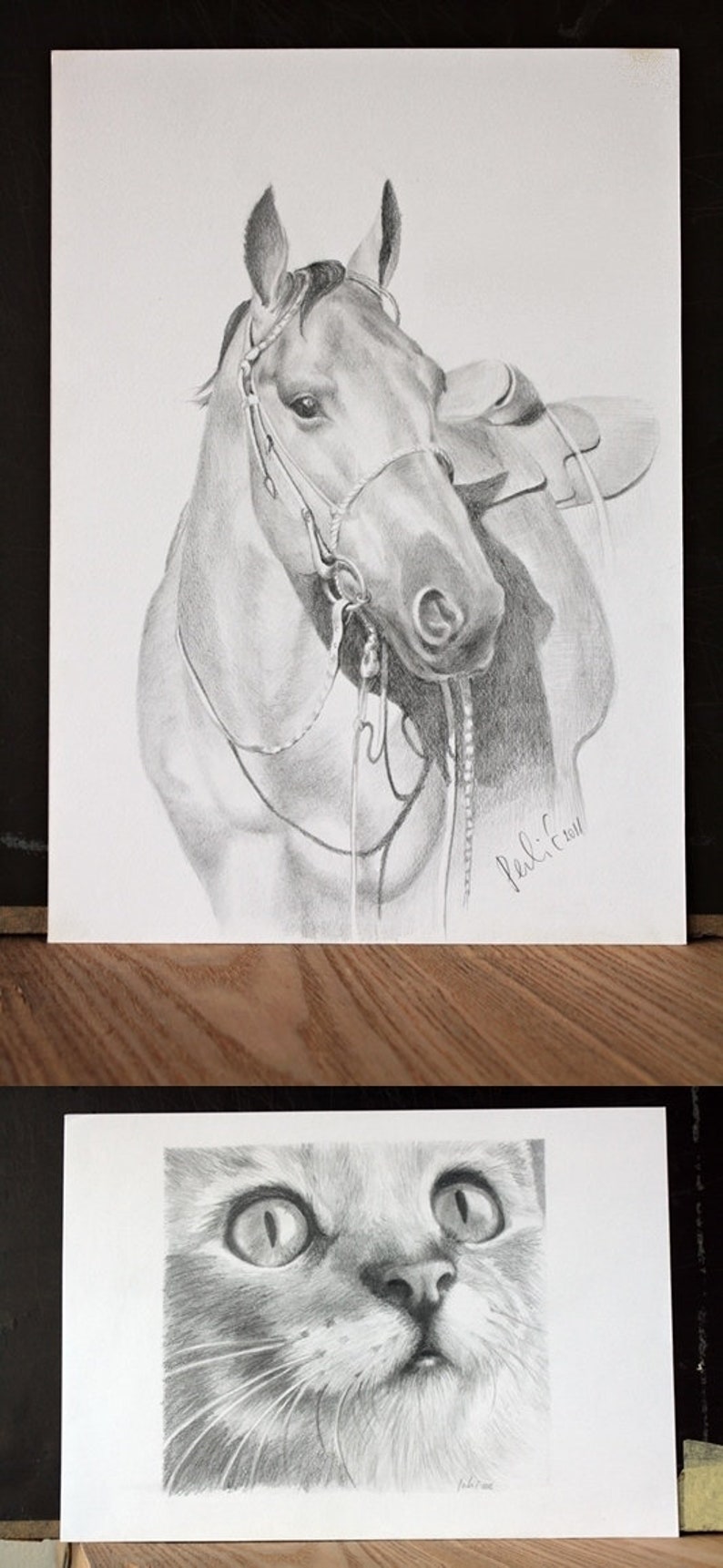 Custom Pet portrait, Personalised drawing, Graphite Hand Draw portraits, Dog picture, Cat ,Horse, A4 size image 3