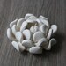 see more listings in the Hand sculpted in clay section