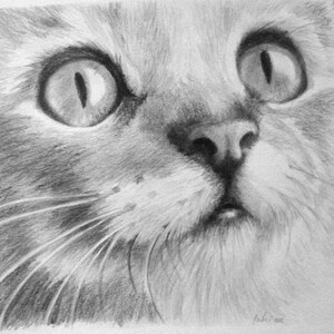 Custom Pet portrait, Personalised drawing, Graphite Hand Draw portraits, Dog picture, Cat ,Horse, A4 size image 2