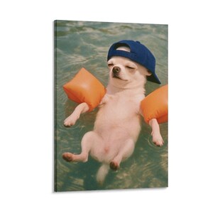 Chihuahua Pool Wall Art Print, Funny Dog Photo Poster, Blue Cap Orange Floaties, Retro Summer Decor for Bathroom, Kids Room