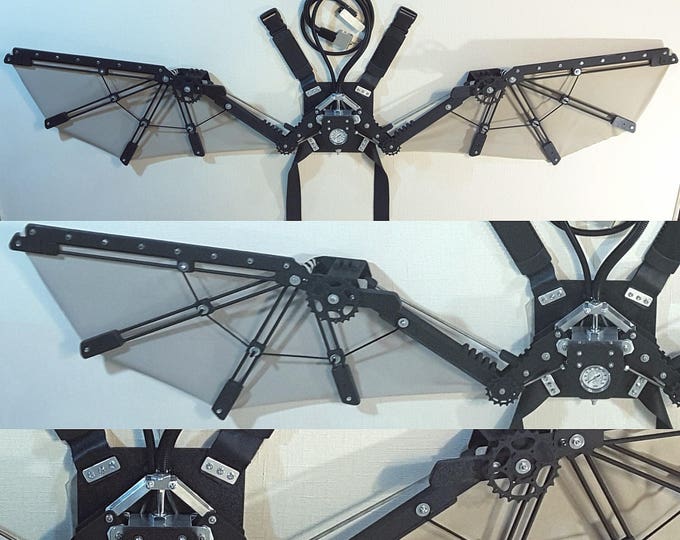 Mechanical Wings Bionic Concepts